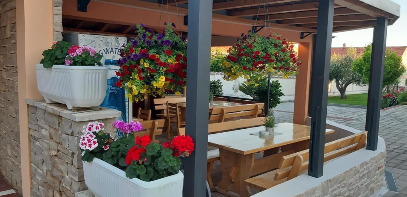 Villa Dalmatina Zadar Mit Pool Экстерьер фото