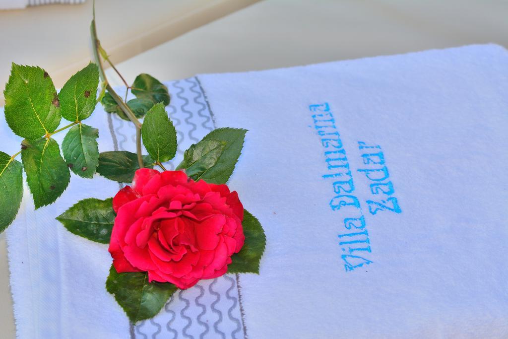 Villa Dalmatina Zadar Mit Pool Экстерьер фото